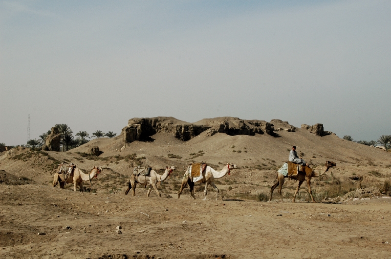 Palace of Apries ruins