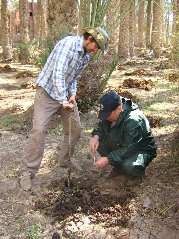 Palaeoecological survey at the site